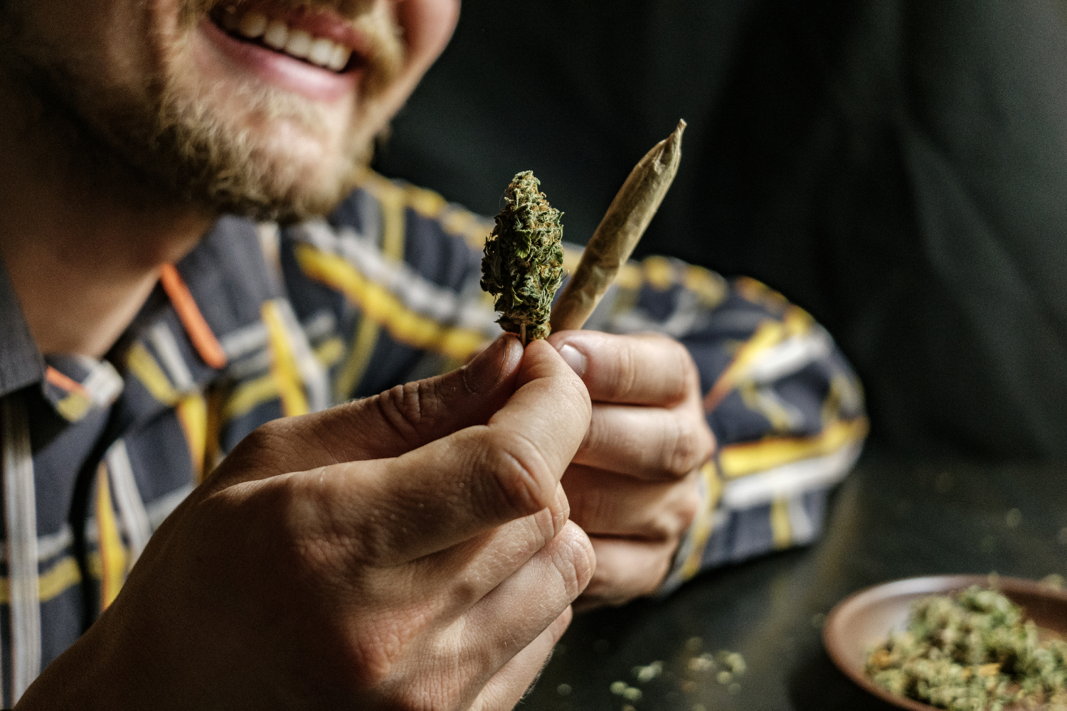 cannabis torrevieja – club social GORILLA GLUE 420 cannabis torrevieja - club social GORILLA GLUE 420
