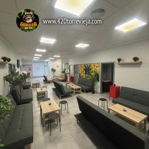 CLUB CANNABICO EN TORREVIEJA