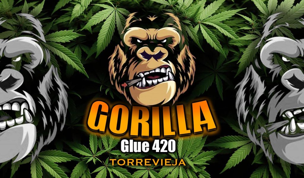 cannabis torrevieja, club social cannabico gorilla glue 420